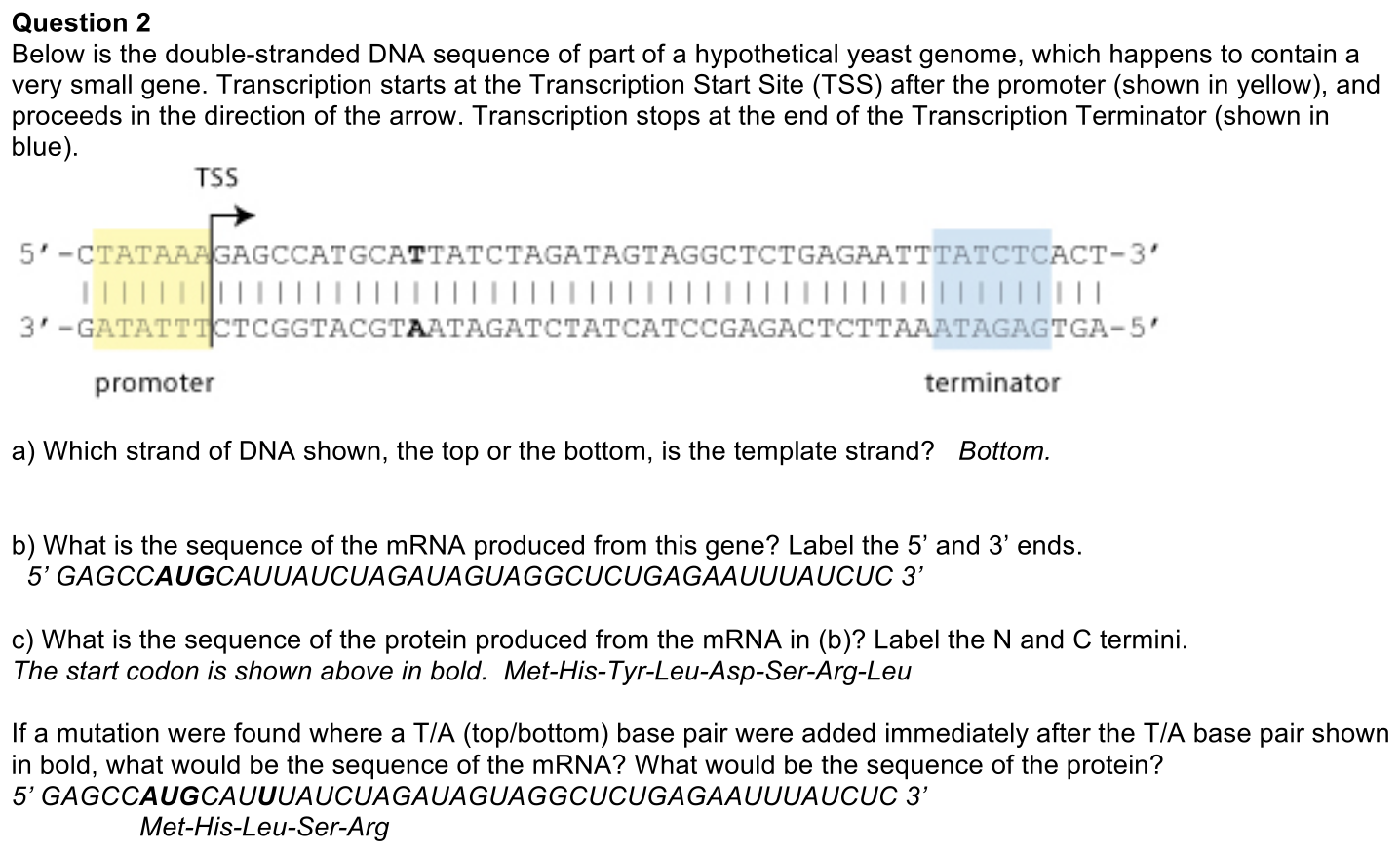 2.3-2-solution-1
