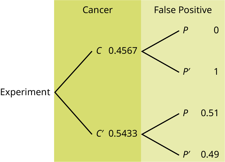 This is a tree diagram with two branches. The first branch, labeled Cancer, shows two lines: 0.4567 C and 0.5433 C'. The second branch is labeled False Positive. From C, there are two lines: 0 P and 1 P'. From C', there are two lines: 0.51 P and 0.49 P'.