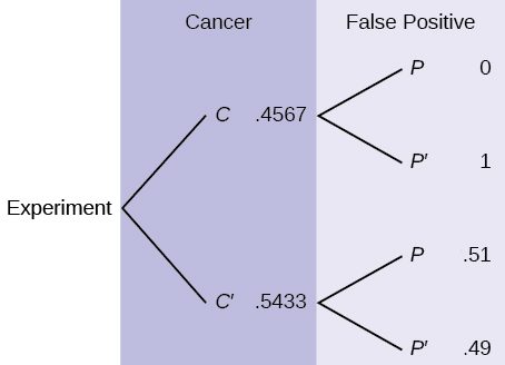 This is a tree diagram with two branches. The first branch, labeled Cancer, shows two lines: 0.4567 C and 0.5433 C'. The second branch is labeled False Positive. From C, there are two lines: 0 P and 1 P'. From C', there are two lines: 0.51 P and 0.49 P'.
