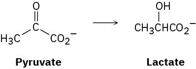 The figure shows a reaction where pyruvate converts to lactate.