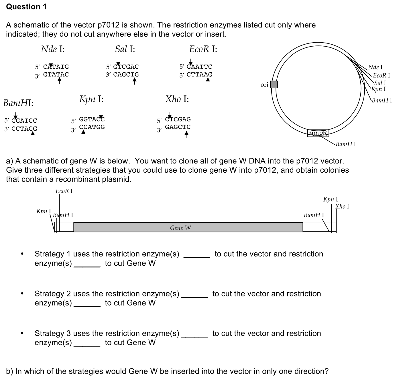 4.2-1-prompt-1