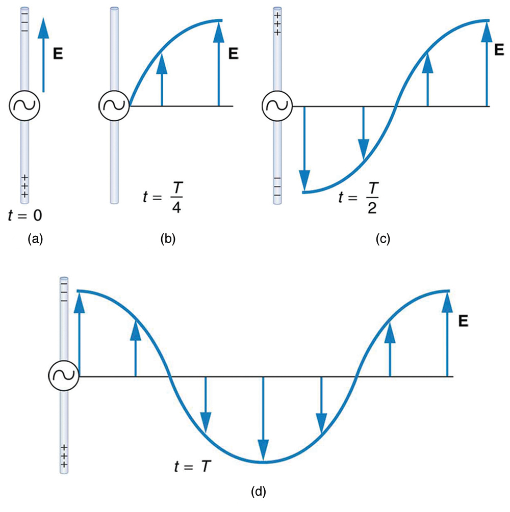 A long straight gray wire with an A C generator at its center, functioning as a broadcast antenna for electromagnetic waves, is shown. The wave distributions at four different times are shown in four different parts. Part a of the diagram shows a long straight gray wire with an A C generator at its center. The time is marked t equals zero. The bottom part of the antenna is positive and the upper end of the antenna is negative. An electric field E acting upward is shown by an upward arrow. Part b of the diagram shows a long straight gray wire with an A C generator at its center. The time is marked t equals capital T divided by four. The antenna has no polarity marked and a wave is shown to emerge from the A C source. An electric field E acting upward as shown by an upward arrow. The electric field E propagates away from the antenna at the speed of light, forming part of the electromagnetic wave from the A C source. A quarter portion of the wave is shown above the horizontal axis. Part c of the diagram shows a long straight gray wire with an A C generator at its center. The time is marked t equals capital T divided by two. The bottom part of the antenna is negative and the upper end of the antenna is positive and a wave is shown to emerge from the A C source. The electric field E propagates away from the antenna at the speed of light, forming part of the electromagnetic wave from the A C source. A quarter portion of the wave is shown below the horizontal axis and a quarter portion of the wave is above the horizontal axis. Part d of the diagram shows a long straight gray wire with an AC generator at its center. The time is marked t equals capital T. The bottom part of the antenna is positive and the upper end of the antenna is negative. A wave is shown to emerge from the A C source. The electric field E propagates away from the antenna at the speed of light, forming part of the electromagnetic wave from the A C source. A quarter portion of the wave is shown above the horizontal axis followed by a half wave below the horizontal axis and then again a quarter of a wave above the horizontal axis.