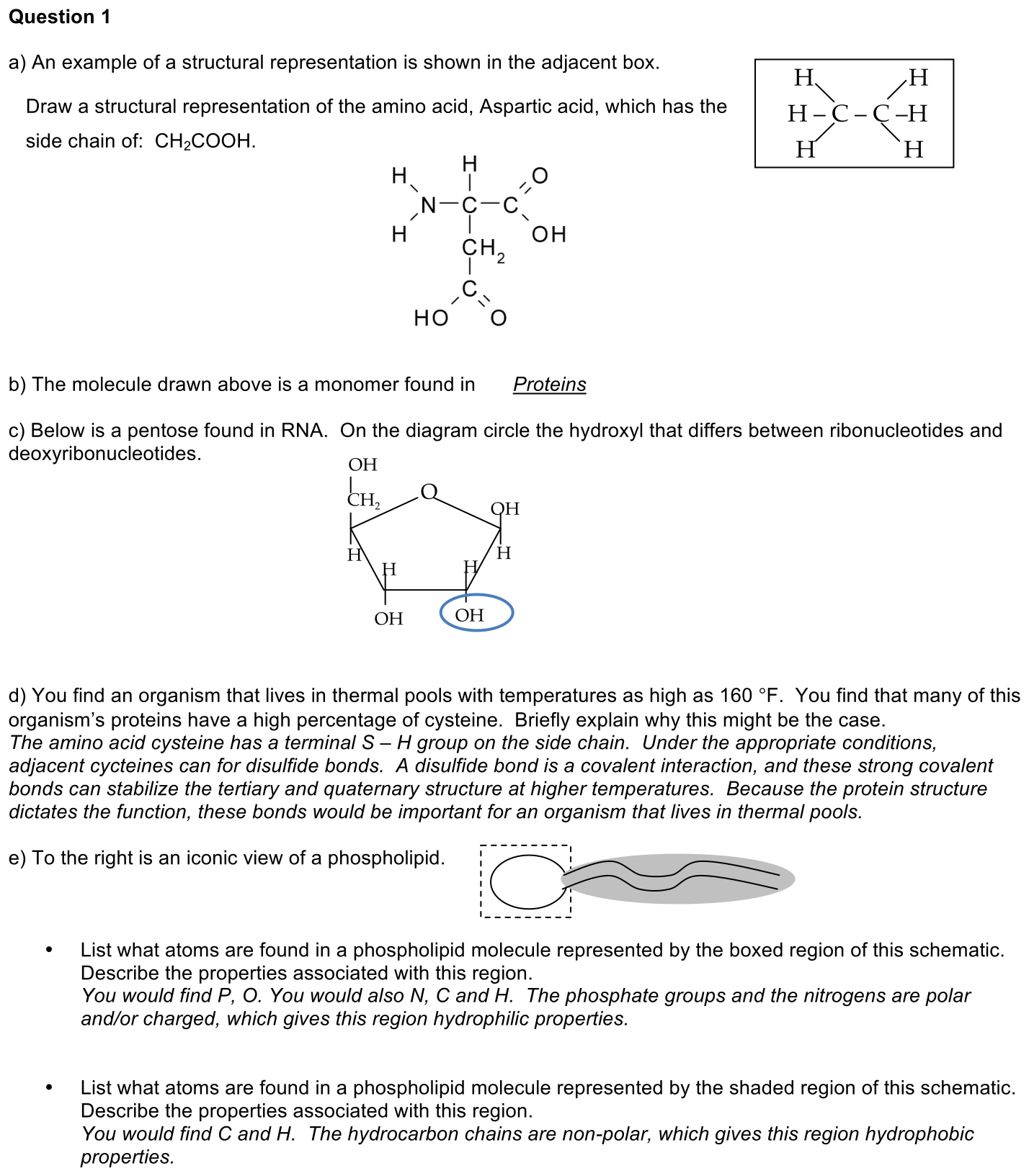 exam1-1-solution-1