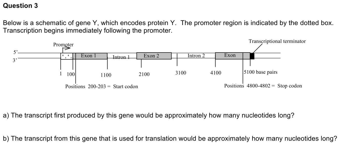 2.4-3-prompt-1