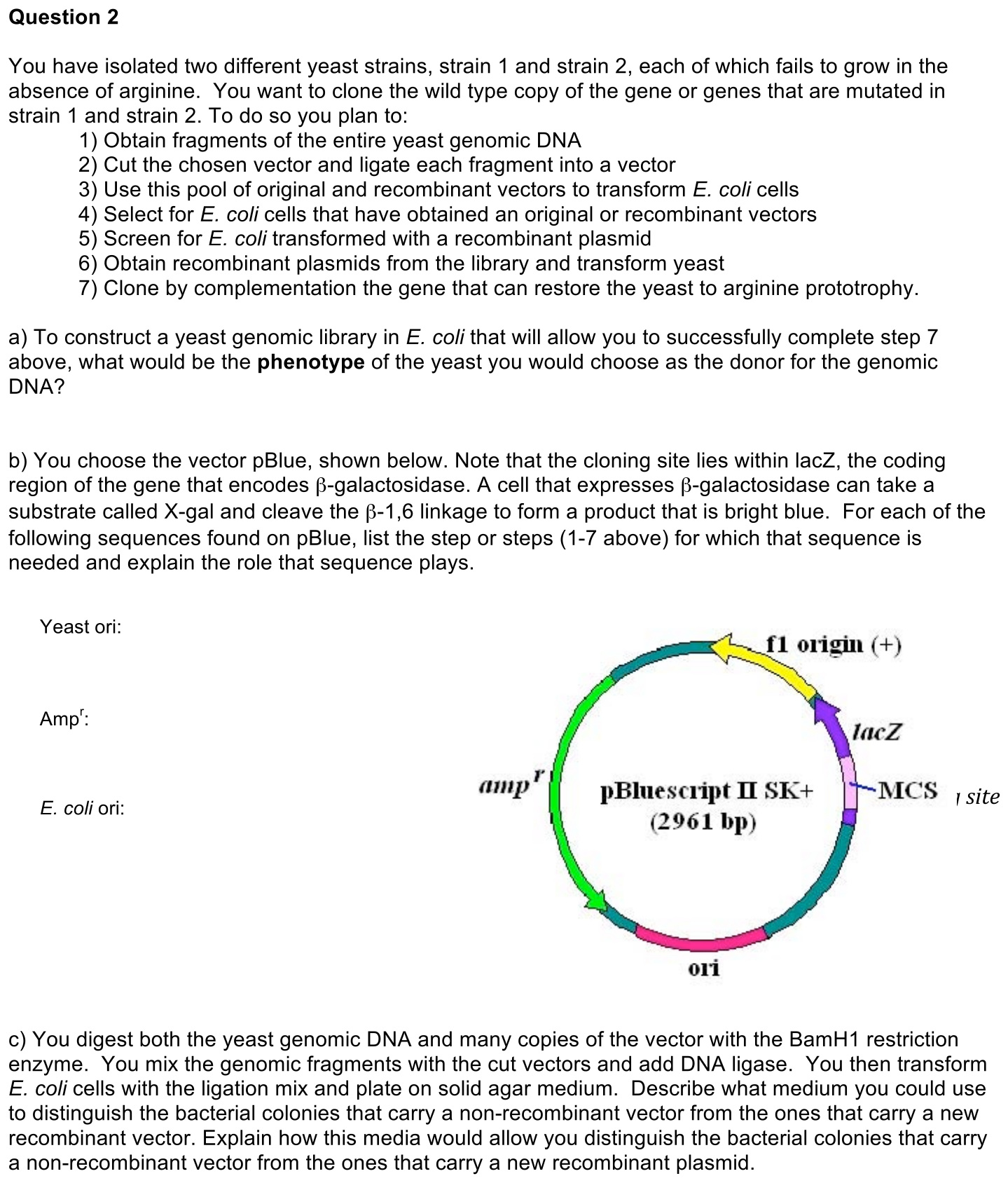 exam4-2-prompt-1