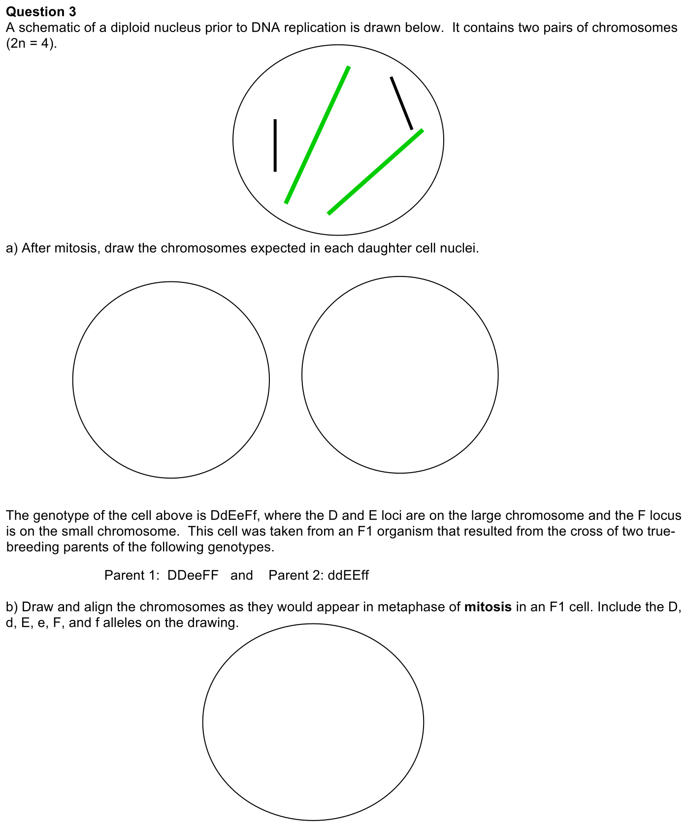 3.1-3-prompt-1