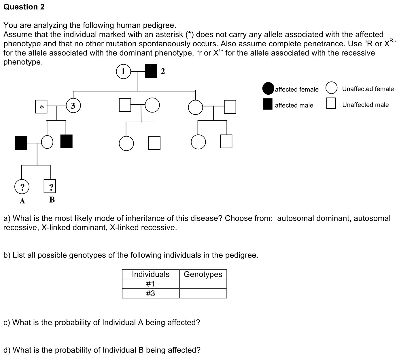 3.3-2-prompt-1