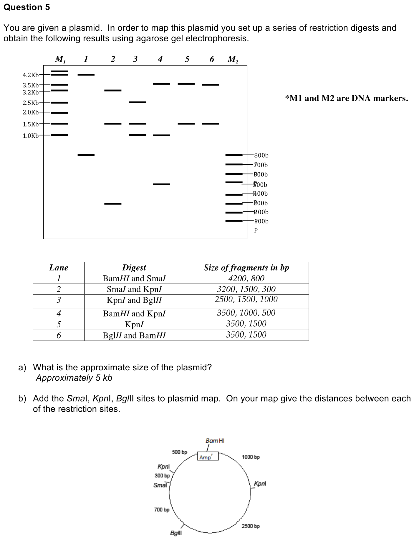 exam4-5-solution-1