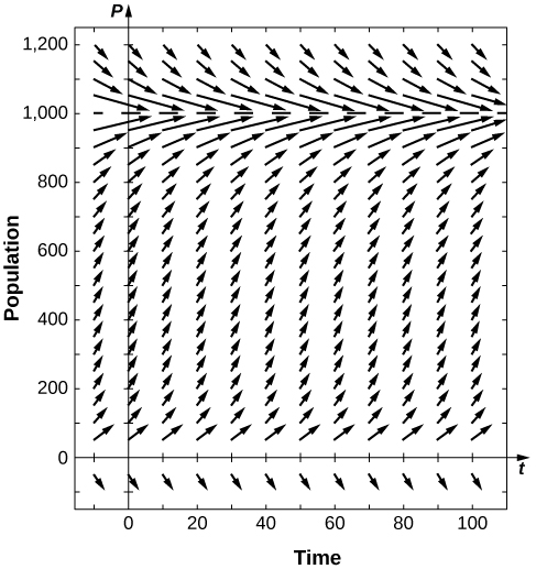 A direction field with arrows pointing down and to the right for P less than 0, up for 0 less than P less than 1,000, and down for P greater than 1,000. The further the arrows are from P = 0 and P = 1,000, the more vertical they become, and the closer they are, the more horizontal they are.