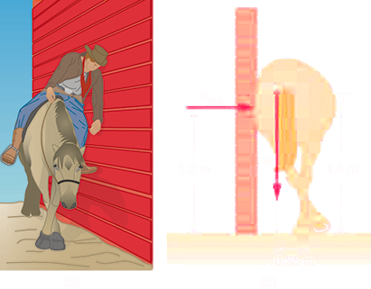 In part a, a horse is standing next to a wall with its legs crossed. A sleepy-looking rider is leaning against the wall. Part b is a drawing of the same horse from a rear view, but this time with no rider. The horse is crossing its rear legs, and its rump is leaning against the wall. The reaction of the wall F is acting on the horse at a height one point two meters above the ground. The weight of the horse is acting at its center of gravity near the base of the tail. The center of gravity is one point four meters above the ground. The line of action of weight is zero point three five meters away from the feet of the horse.