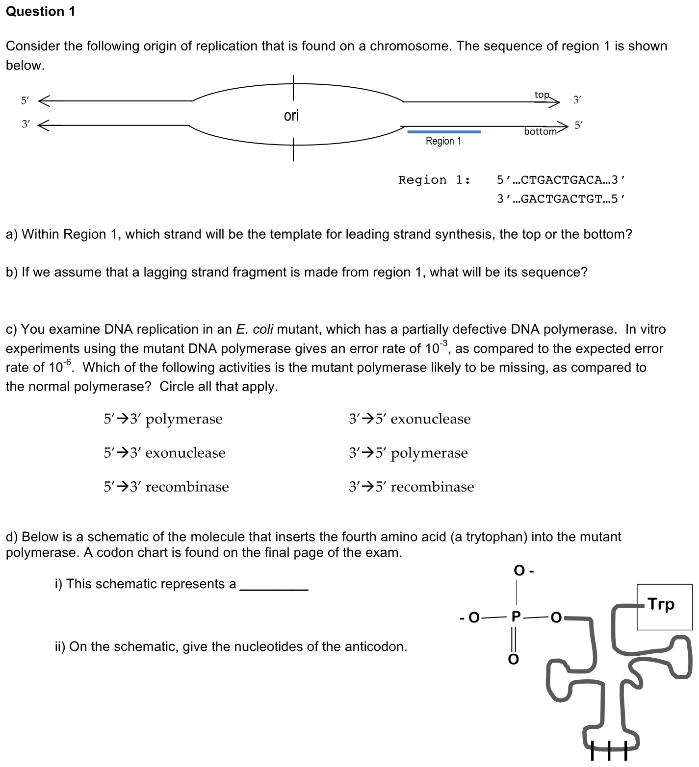 exam2-1-prompt-1