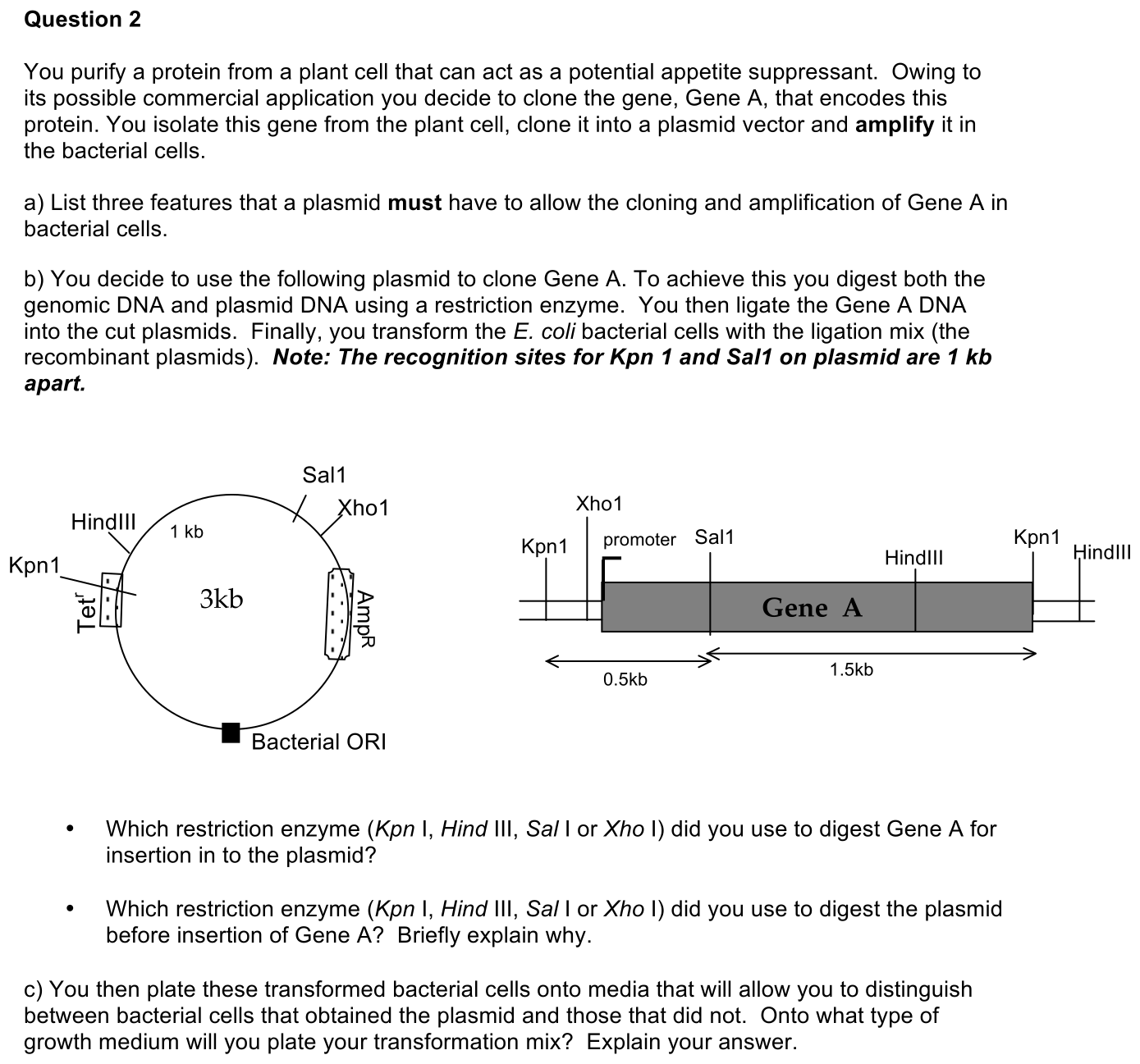 4.2-2-prompt-1