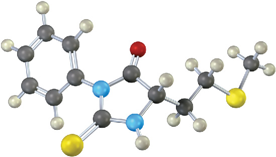 The ball-and-stick model of a P T H derivative containing a methyl thiol ether formed from the Edman degradation of the N-terminal residue of a peptide.