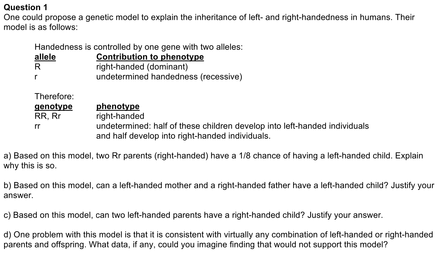 3.1-1-prompt-1