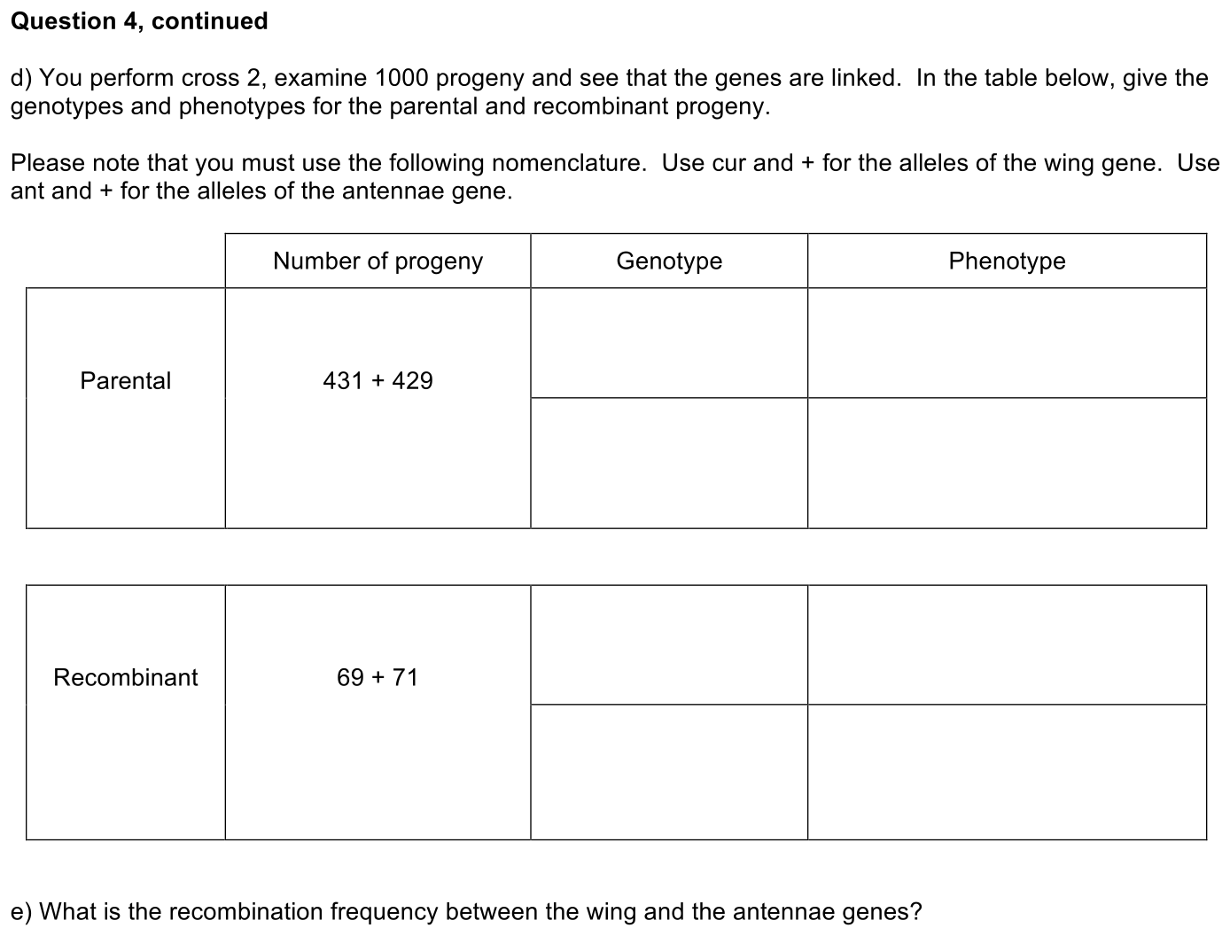 exam3-4-prompt-2