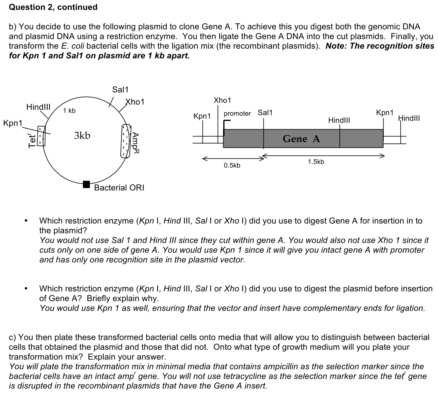 4.2-2-solution-2