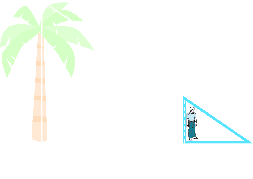An illustration of a palm tree and a stick figure person shows a right triangle. The vertical leg shows a tree. The hypotenuse is unknown. The horizontal leg measures 107.5 feet. A boy who is 6 feet tall is standing 100 feet away from the base of the tree. The boy casts a shadow of 7.5 feet.