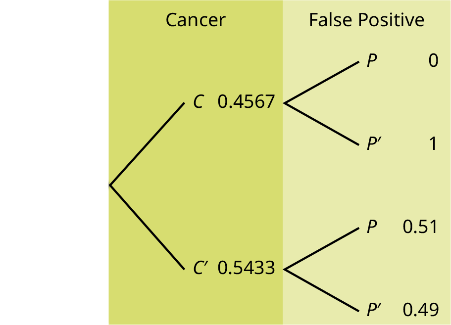 This is a tree diagram with two branches. The first branch, labeled Cancer, shows two lines: 0.4567 C and 0.5433 C'. The second branch is labeled False Positive. From C, there are two lines: 0 P and 1 P'. From C', there are two lines: 0.51 P and 0.49 P'.