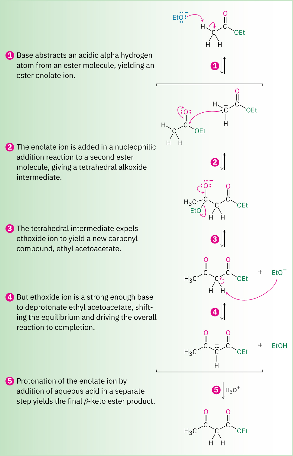 Reversible mechanism of Claisen condensation of ethyl acetate with arrows showing electron flow: alpha proton abstraction, nucleophilic addition of enolate, ethoxide expelled, deprotonation between carbonyls, reprotonation to form ethyl acetoacetate.