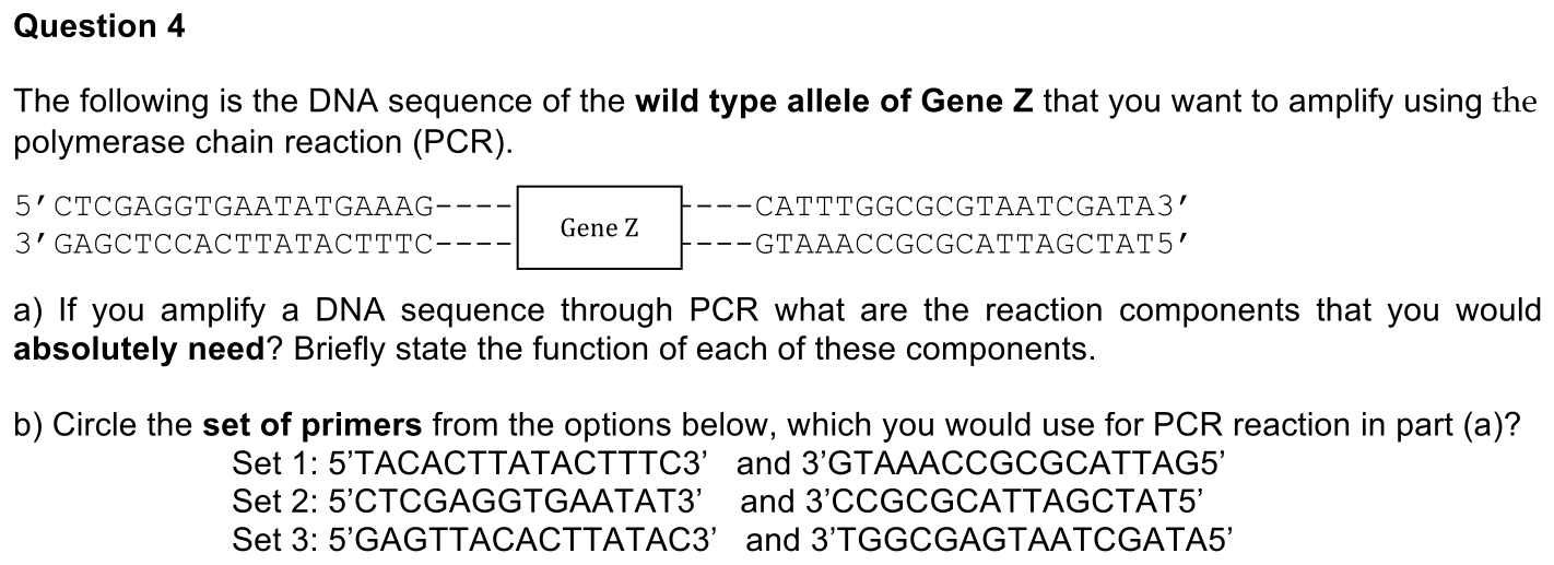 exam4-4-prompt-1