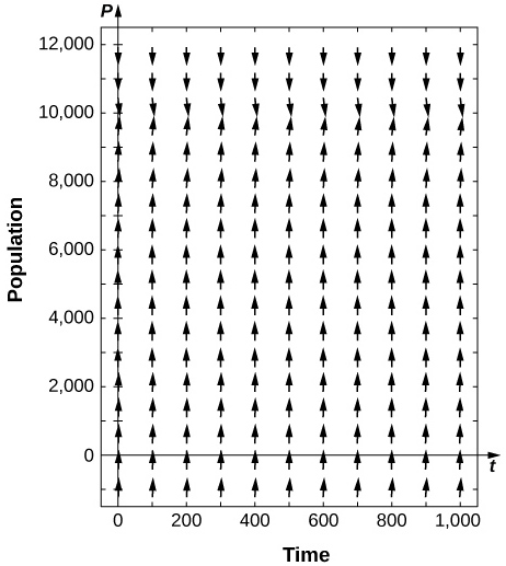 A direction field with arrows pointing up for P less than 10,000 and arrows pointing down for P greater than 10,000.