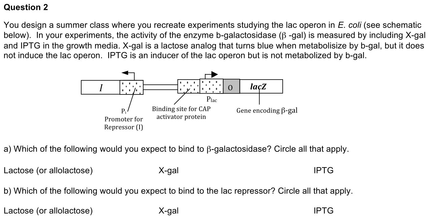 2.5-2-prompt-1