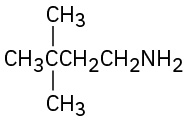 The structure of a four-carbon chain with an amino group on C 1 and two methyl groups on C 3.