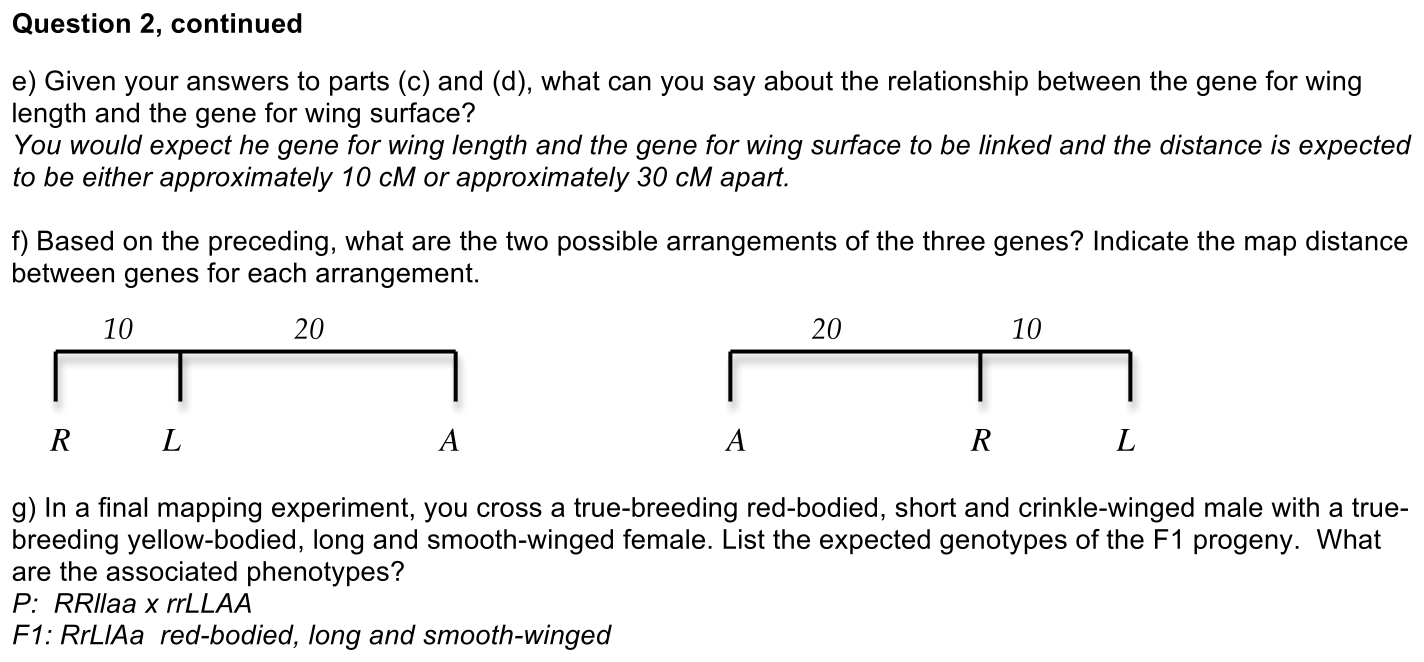 3.2-2-solution-2