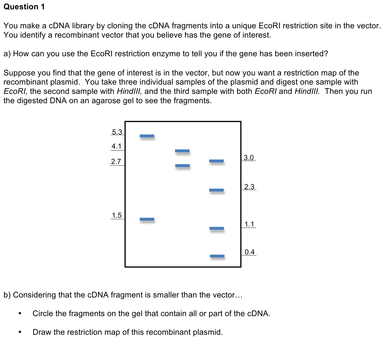 4.5-1-prompt-1