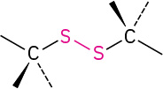 The general structure of disulfide.