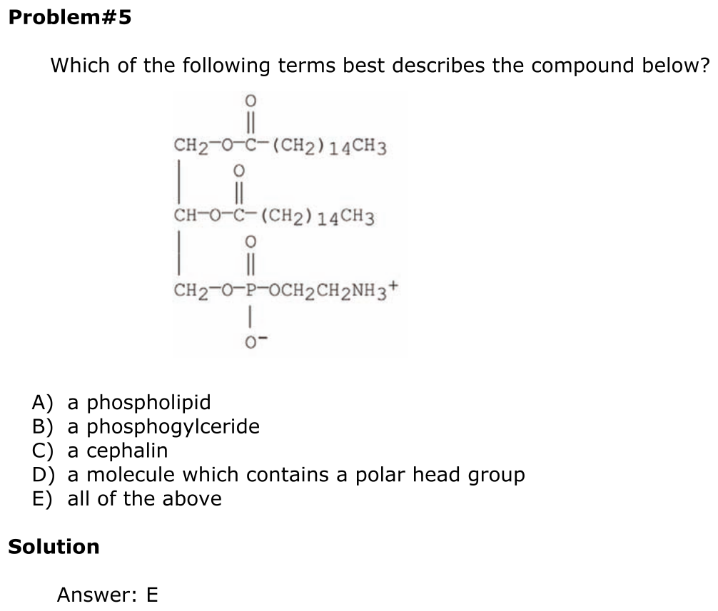 Answer 5