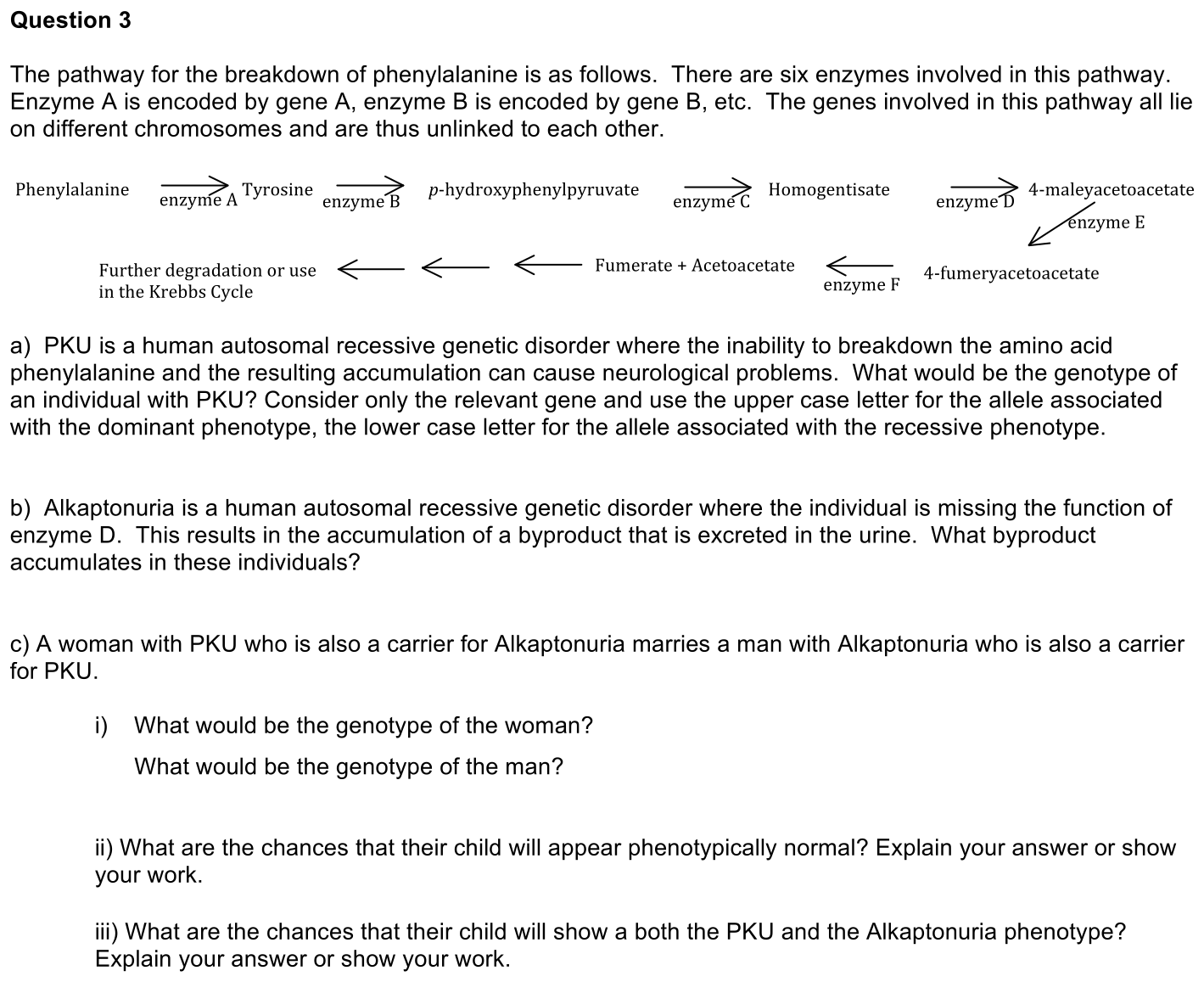 exam3-3-prompt-1