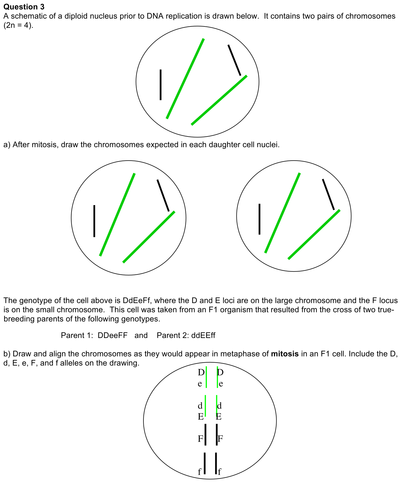 3.1-3-solution-1
