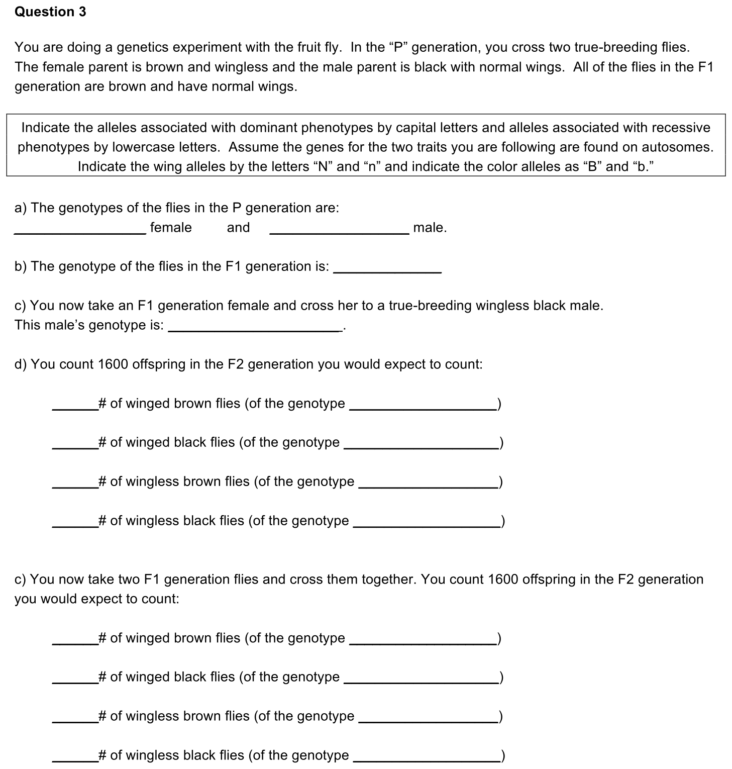 3.1-3-2-prompt-1