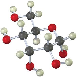 The ball-and-stick model of an alpha aldohexose monosaccharide.