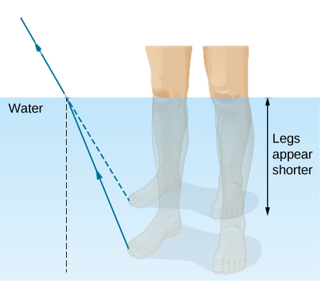 The figure is illustration of the formation of the image of a leg under water, as seen by a viewer in the air above the water. A ray is shown leaving the leg and refracting at the water air interface. The refracted ray bends away from the normal. Extrapolating the refracted ray back into the water, the extrapolated ray is above the actual ray so that the image of the leg is above the actual leg and the leg appears shorter.