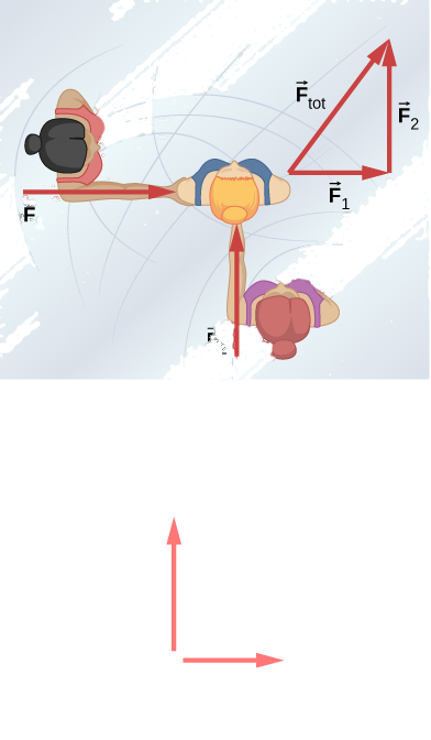 (a) Overhead view of two ice skaters pushing on a third. One skater pushes with a force F one, represented by an arrow pointing to the right, and a second skater pushes with a force F two, represented by an arrow pointing up. Vector F one and vector F two are along the arms of the two skaters acting on the third skater. A vector diagram is shown in the form of a right triangle in which the base is vector F one pointing to the right, and perpendicular to F one is vector F two pointing up. The resultant vector is shown by the hypotenuse pointing up and to the right and is labeled as vector F sub tot. (b) Free body diagram showing only the forces F sub one and F sub 2 acting on the skater.