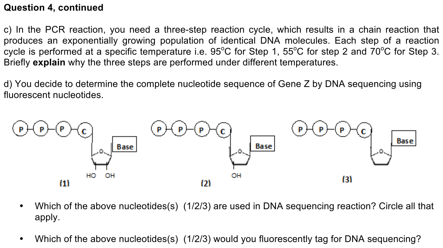 exam4-4-prompt-2