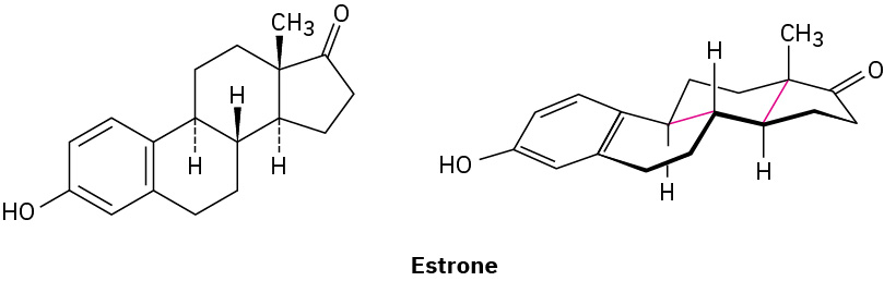 The wedge-dash and bond-line structures of estrone. In the bond-line structures, all rings except benzene are in chair conformations.