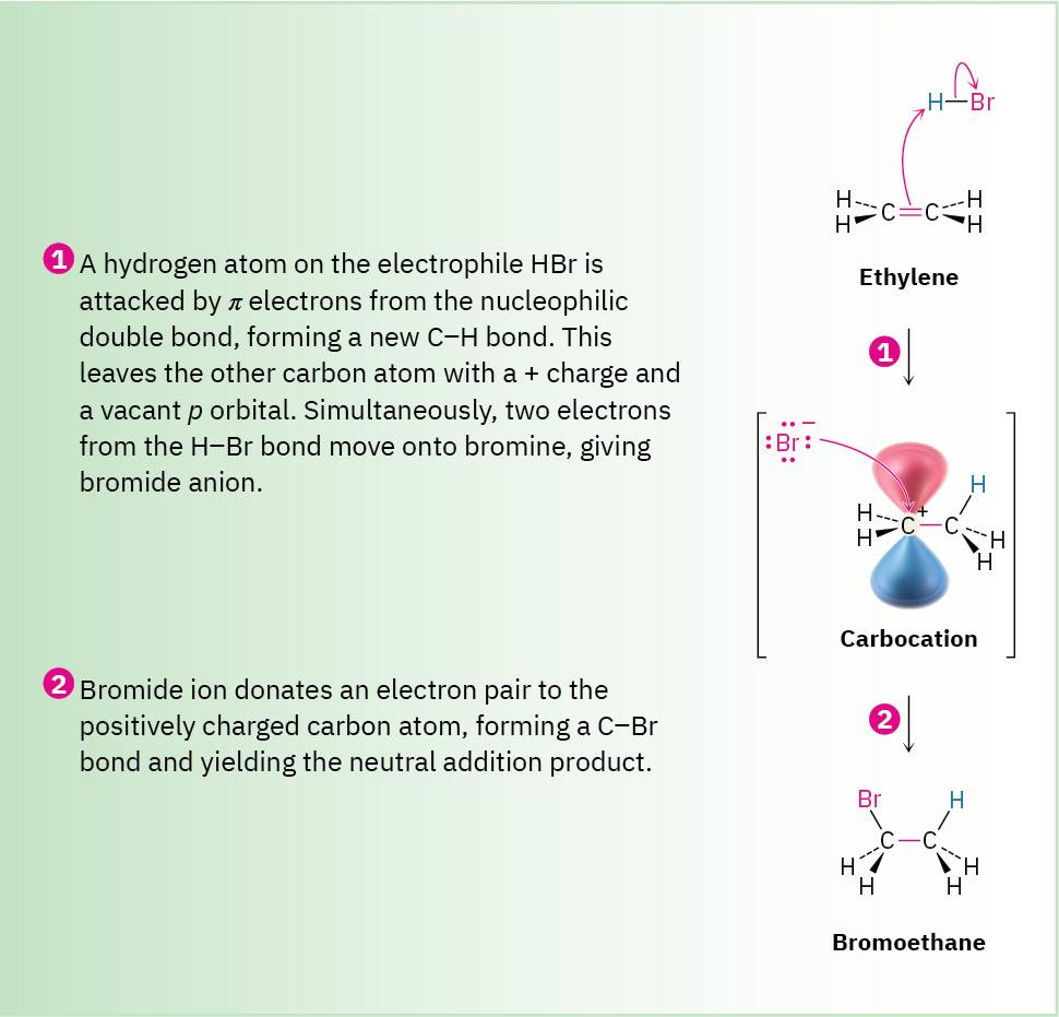 A 2-step reaction mechanism shows ethylene reacting with hydrogen bromide to form bromoethane via a carbocation intermediate.