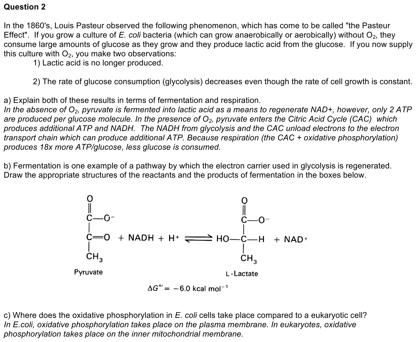1.6-2-solution-1