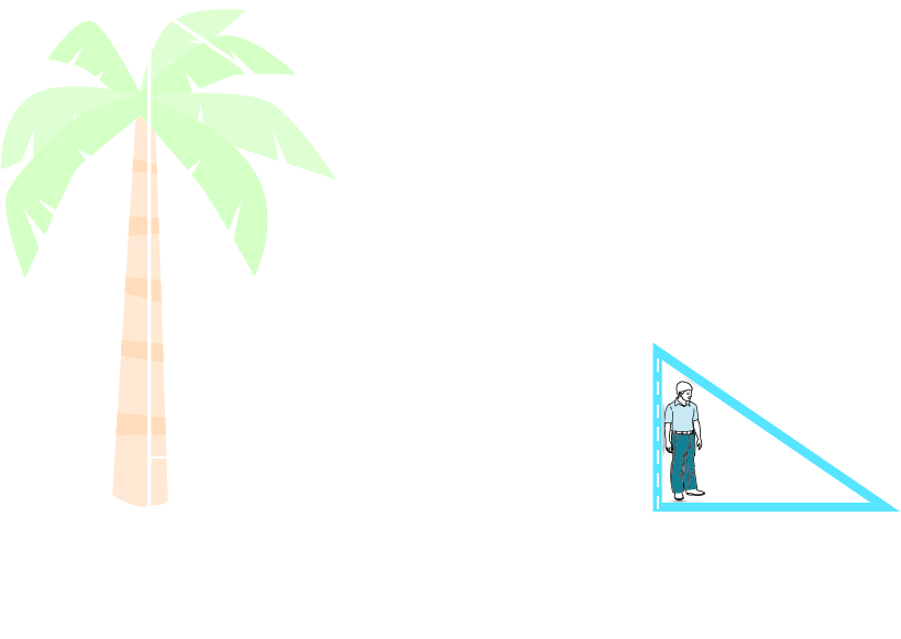 An illustration of a palm tree and stick figure person shows a right triangle. The vertical leg shows a tree and it measures x. The hypotenuse is unknown. The horizontal leg measures 57 feet. A boy who is 5 feet tall is standing 50 feet away from the base of the tree. The boy casts a shadow of 7 feet.