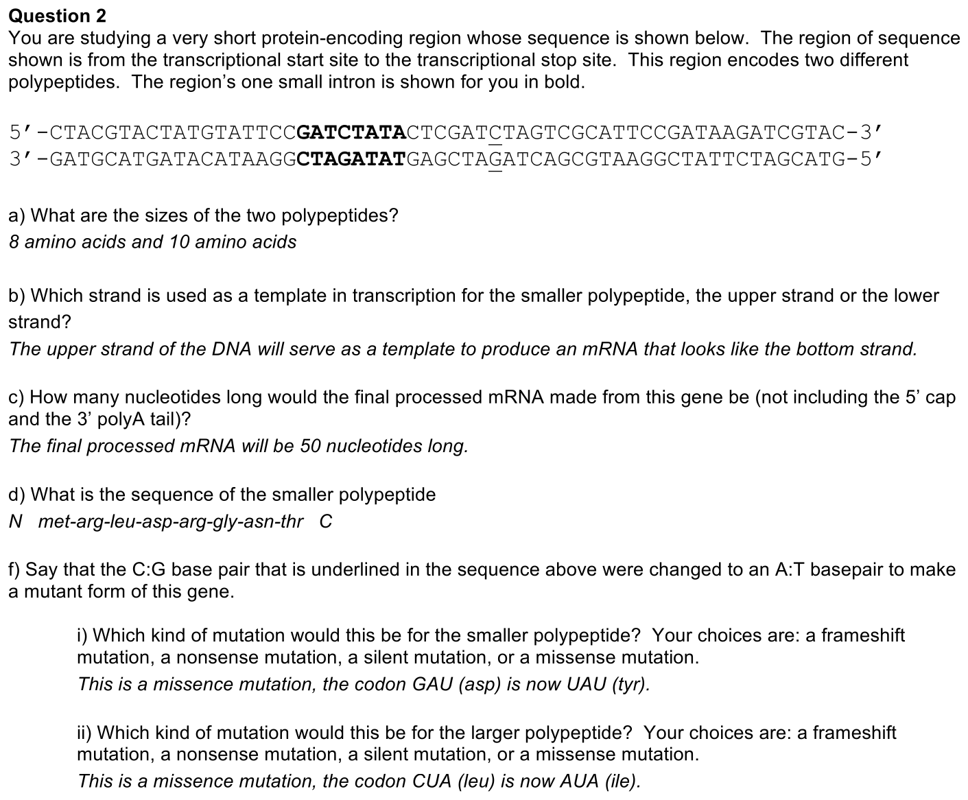 2.4-2-solution-1