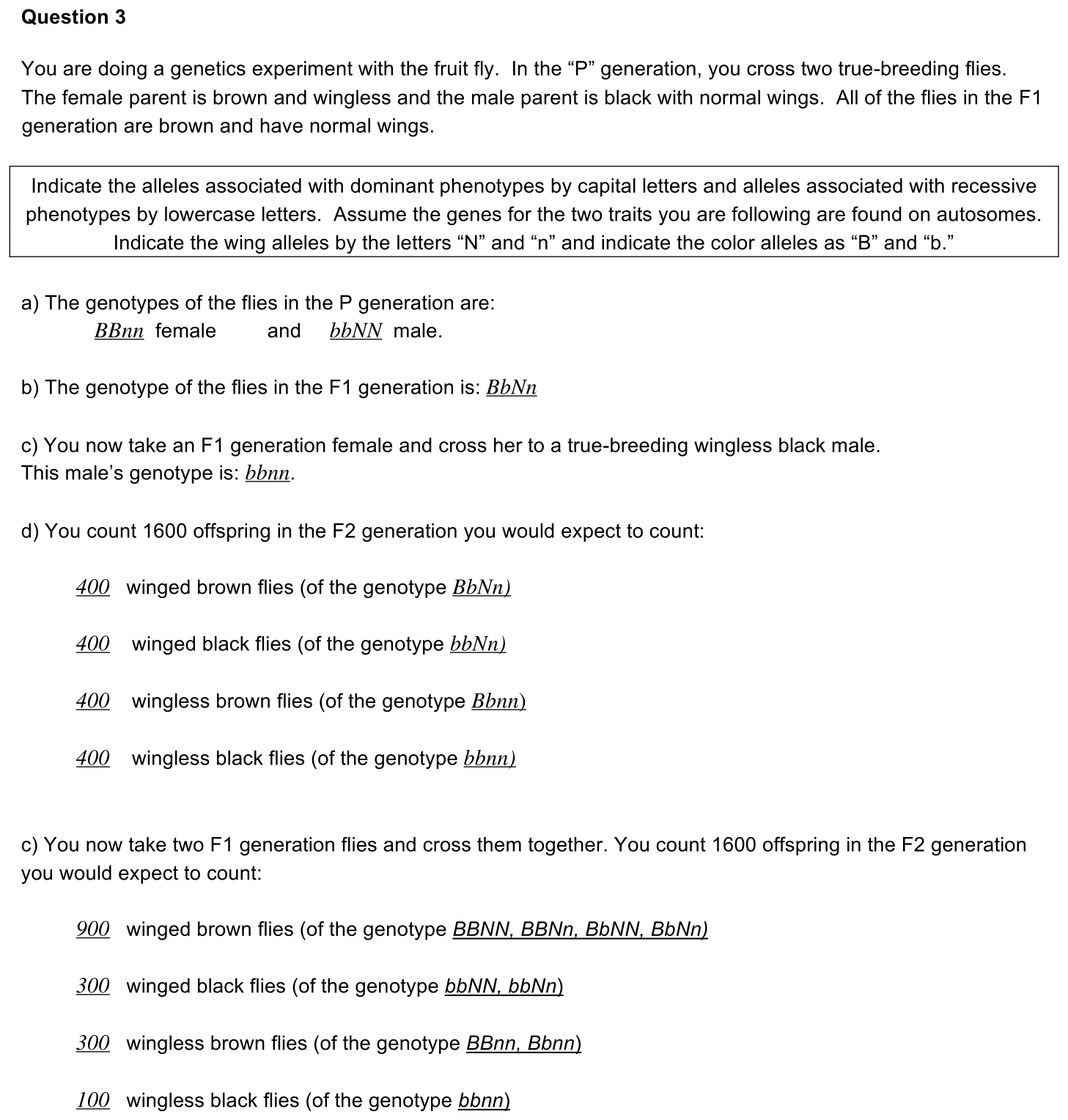 3.1-3-2-solution-1