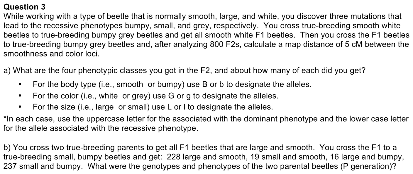 3.2-3-prompt-1