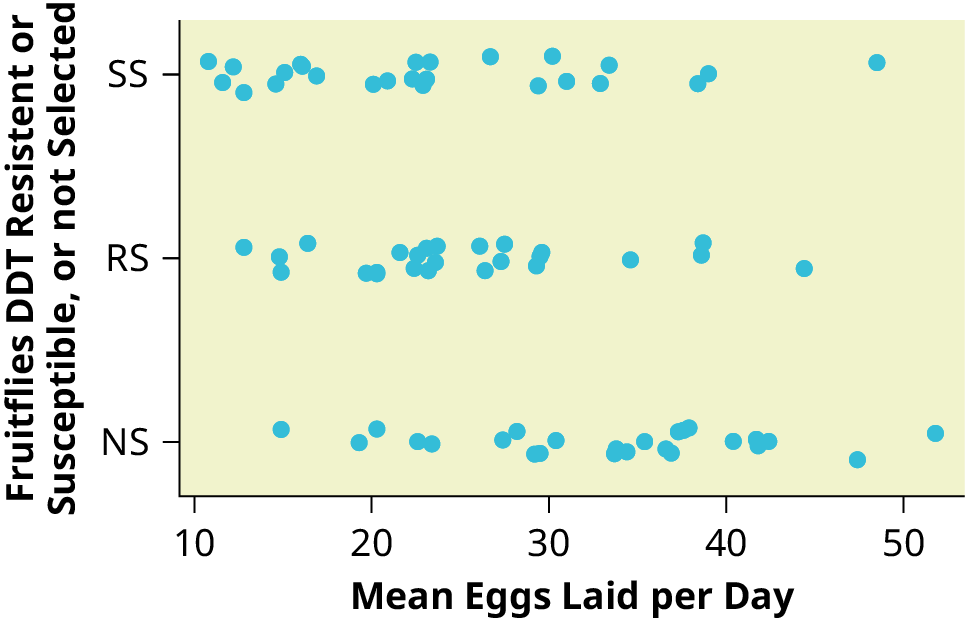 This graph is a scatterplot which represents the data provided. The horizontal axis is labeled 'Mean eggs laid per day' and extends from 10 - 50. The vertical axis is labeled 'Fruitflies DDT resistant or susceptible, or not selected.' The vertical axis is labeled with the categories NS, RS, SS.