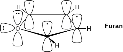 The orbital representation of furan shows an oxygen atom with three lobes. Two of the lobes each carry a lone pair. Upper lobe of each carbon carries an unpaired electron.