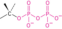 The general structure of diphosphate.
