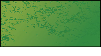A rectangle that’s textured to look like a field. The field is labeled: l times w = ninety-eight times x squared plus one hundred five times x minus twenty-seven.