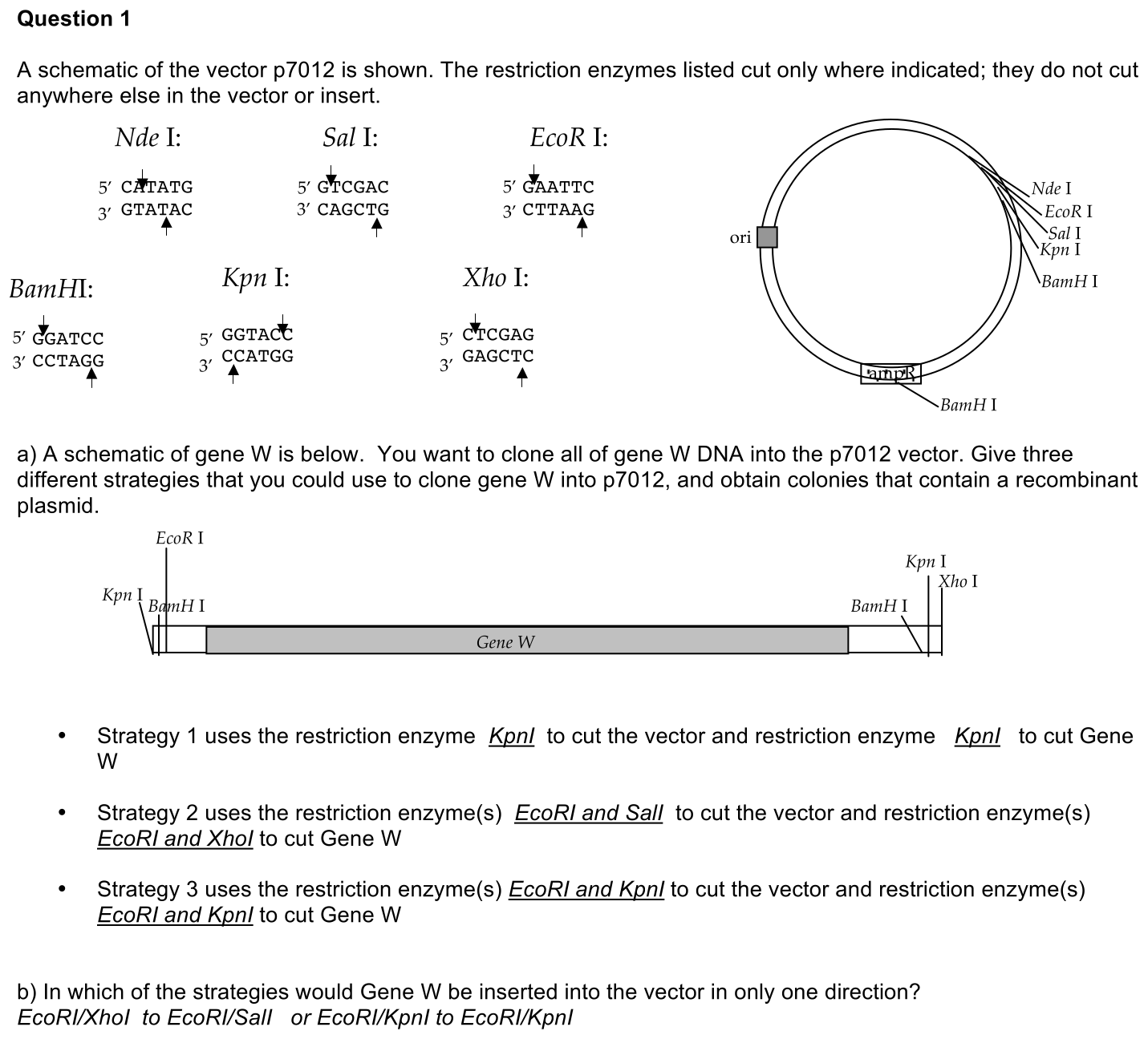 4.2-1-solution-1